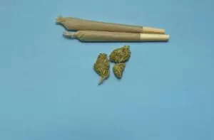 6 Things To Look For Before Ordering Products From Weed Delivery Whitby