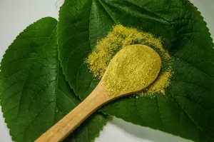 5 Smart Ways To Search For Amazing Deals At Kratom Shops