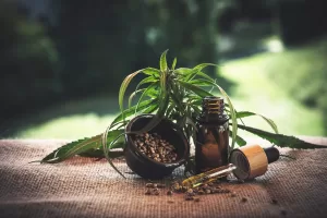 5 Myths About CBD Oil That Need To Be Busted