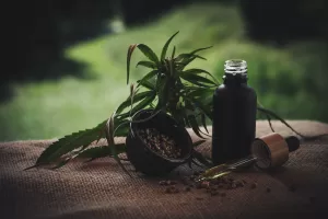 What Role Do High-Quality CBD Products Play In Your Life?